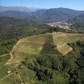 Friuli
