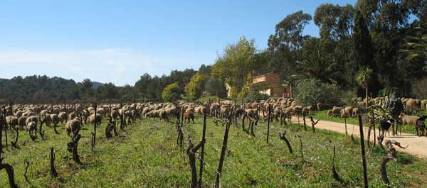 Biodynamisk Provence