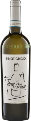 Pinot Grigio Ekologisk